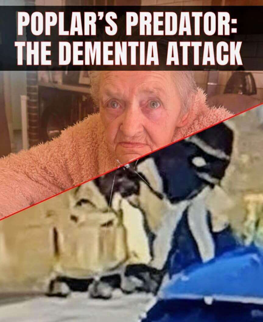 1000443551.jpg