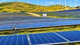 Are Scientists Who Trust Technology Less Likely to Take Climate Action?