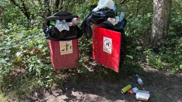 London Council Faces Backlash Over Removal of 700 Dog-Waste Bins