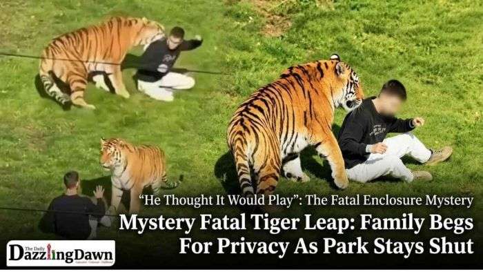 Yorkshire Tiger Tragedy: Why Man Leapt Into Pen As Family Begs Anonymity