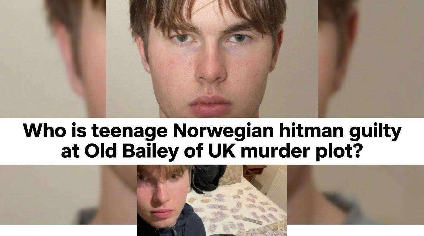 who-is-teenage-norwegian-hitman-guilty-at-old-bailey-of-uk-murder-plot.jpeg