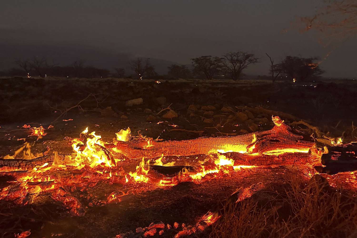 https://dazzlingdawn.com/wp-content/uploads/2023/08/Hawaii-fires-become-deadliest-in-modern-US-history-as-death-toll-tops-93.jpg